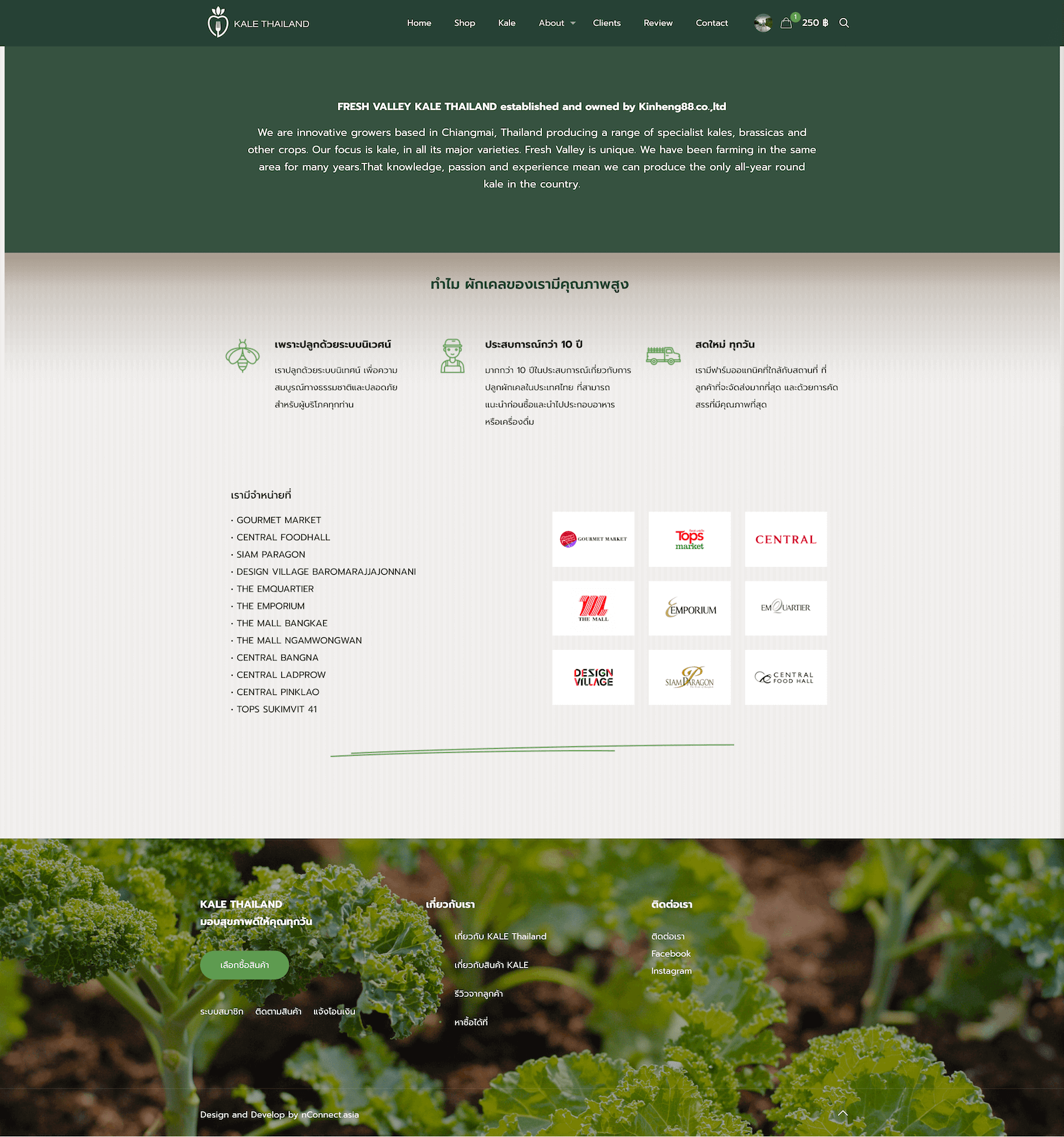 Kale Connection Thailand