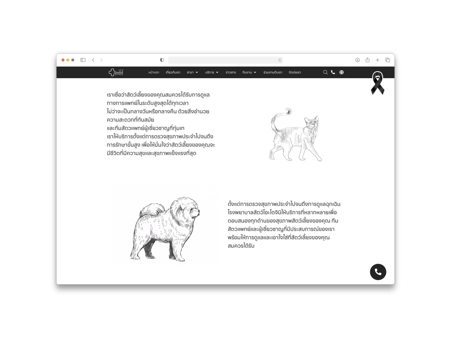 Odaijini Pet Hospital