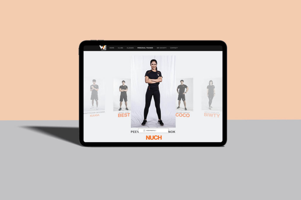 pt ptofile website design services and other services by nConnect