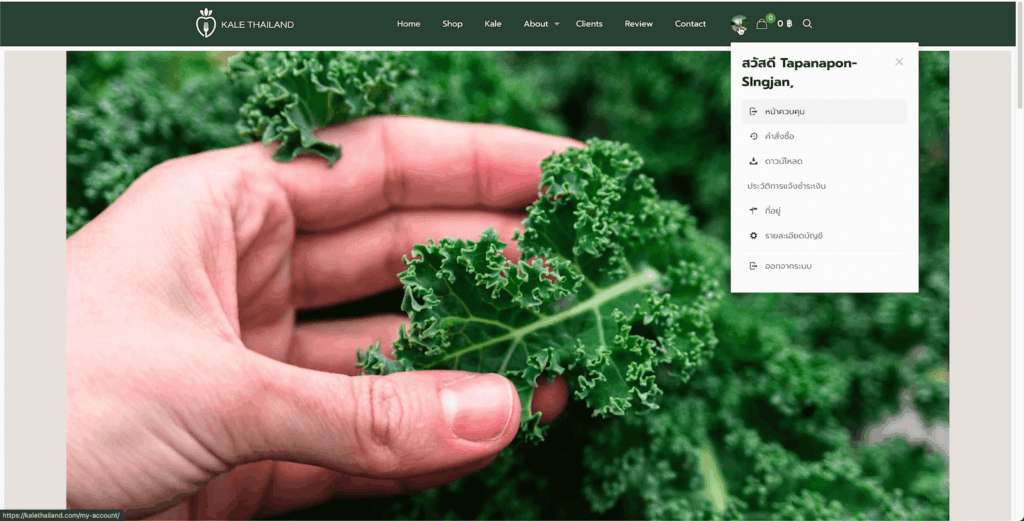 Kale Thailand Farm Website 11 website design services and other services by nConnect