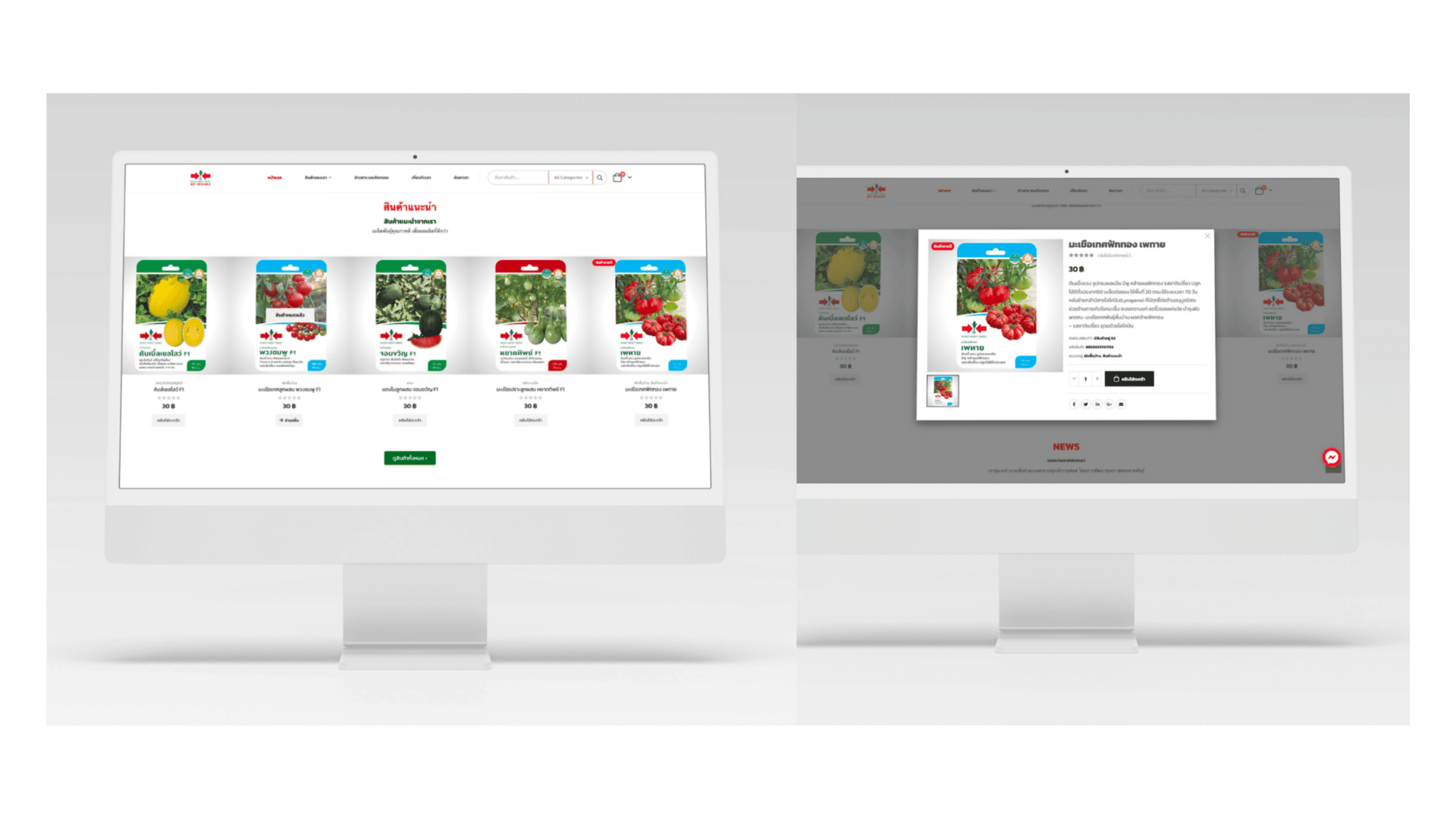 7232261e-sorndeanseed-7