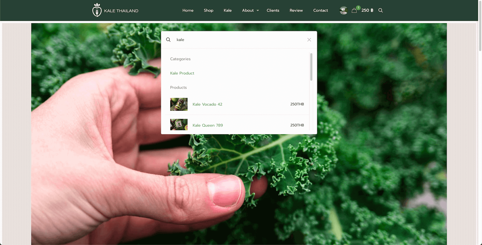 Kale Connection Thailand