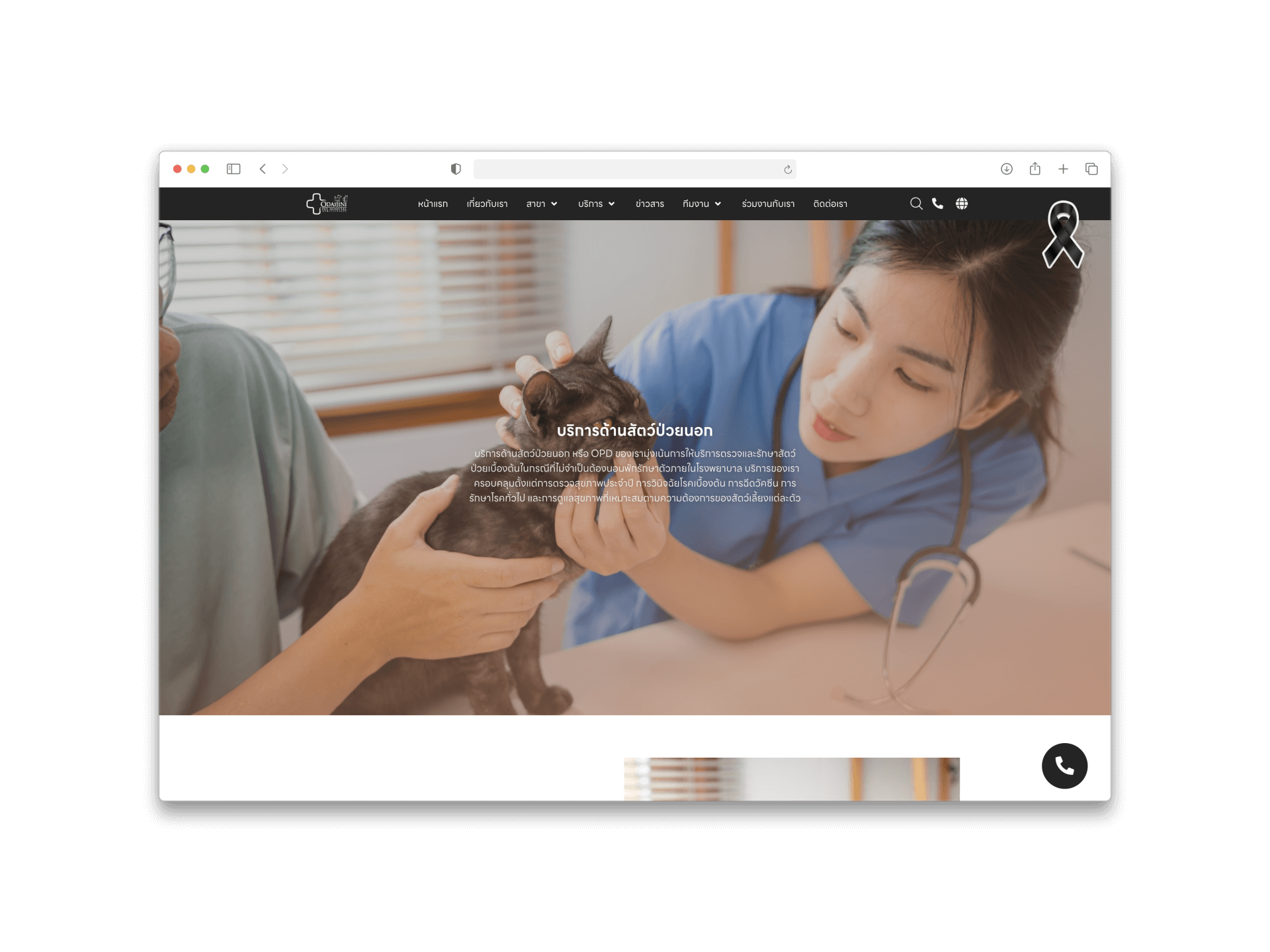 Odaijini Pet Hospital