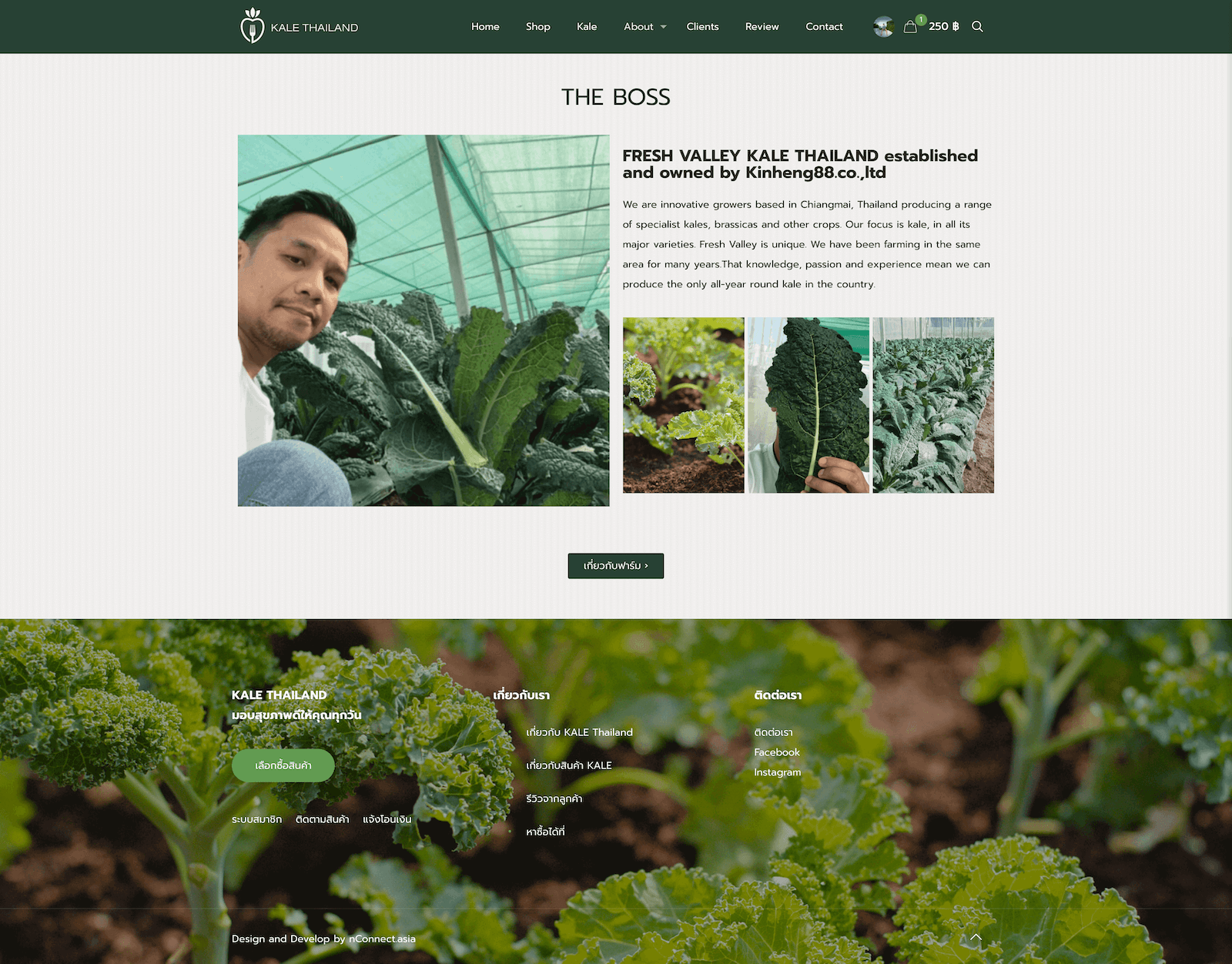 Kale Connection Thailand