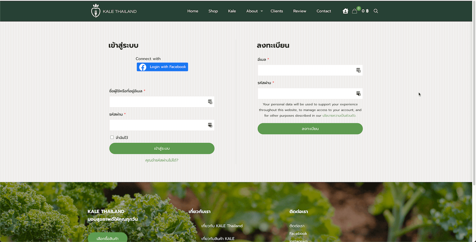 Kale Connection Thailand